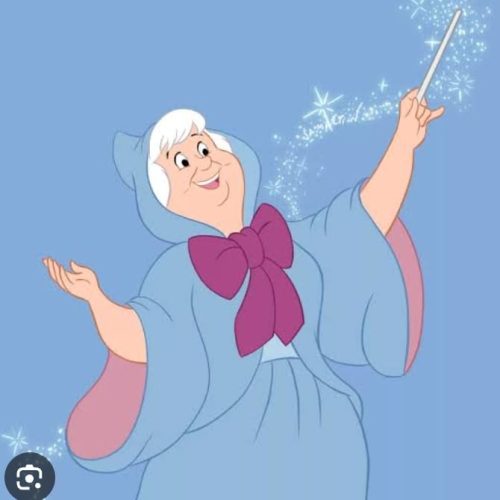 WhatsApp Image 2025-08-25 at 20.19.05